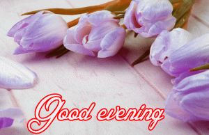 Good Evening Wishes Images Photo Wallpaper HD Download