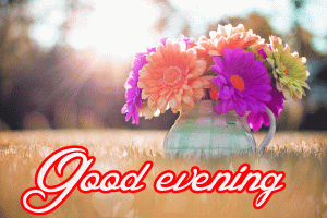 Good Evening Wishes Images Photo Pictures Download In HD