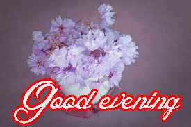 Good Evening Wishes Images Photo Wallpaper Download