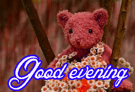 Good Evening Wishes Images Photo free Download