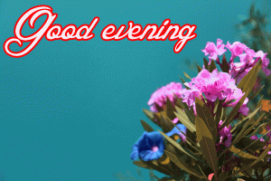 Good Evening Wishes Images Photo Pics Download