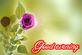 Good Evening Love Images Photo HD Download