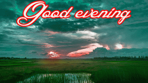 Good Evening Wishes Images Pictures Pics HD Download