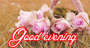 Good Evening Wishes Images Photo Pics HD Download for Whatsaap
