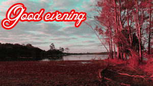 Good Evening Beautiful Nature Images Photo Pics Download