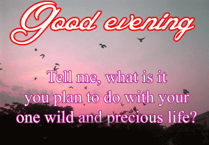 Quotes Good / Gud Evening Wise's Images Photo Wallpaper Download