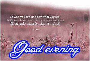 Quotes Good / Gud Evening Wise's Images Wallpaper Photo Download