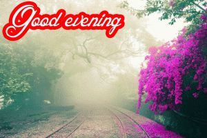 Good Evening Beautiful Nature Images Wallpaper HD Download