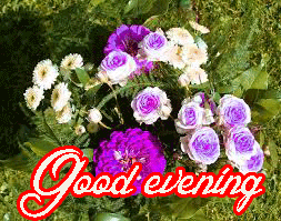 Gud Evening Images Photo Wallpaper Pics With Flower