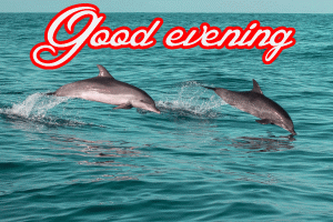 Latest New Unique Good Evening images Photo Wallpaper Download In HD