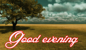 Lovely Good Evening Images Photo Wallpaper HD Download