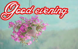 Lovely Good Evening Images Pictures Pics HD Download