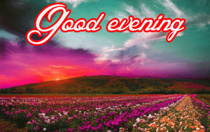 Lovely Good Evening Images Wallpaper Pics Download for Whatsaap
