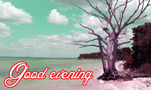 Lovely Good Evening Images Photo Wallpaper Download