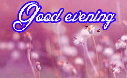 Lovely Good Evening Images Wallpaper Free Download