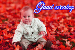 Lovely Good Evening Images Photo HD Free Download