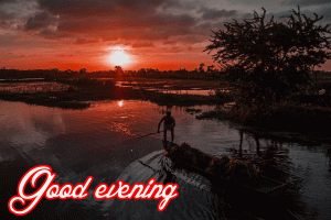 New Good Evening Images Pictures Pics Download IN HD