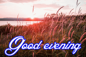 New Good Evening Images Photo Wallpaper Download
