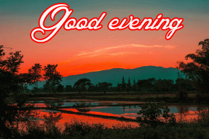 New Good Evening Images Photo free Download