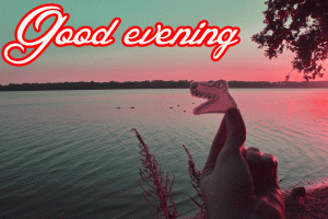 New Good Evening Images Photo HD Download