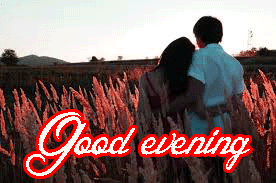 Romantic Good Evening Images Photo Wallpaper HD Download