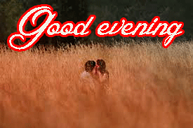 Romantic Good Evening Images Photo Free Download