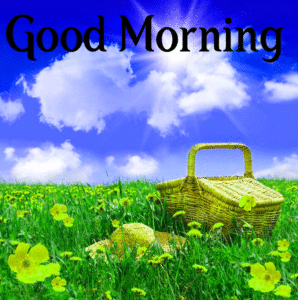 Beautiful Good Morning Images photo wallpaper download