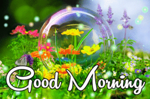 Good Morning Beautiful Flower Nature Girls Images wallpaper photo free hd
