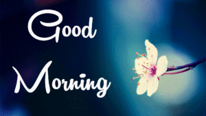 Good Morning images wallpaper pictures photo pics free hd download for whatsapp & facebook