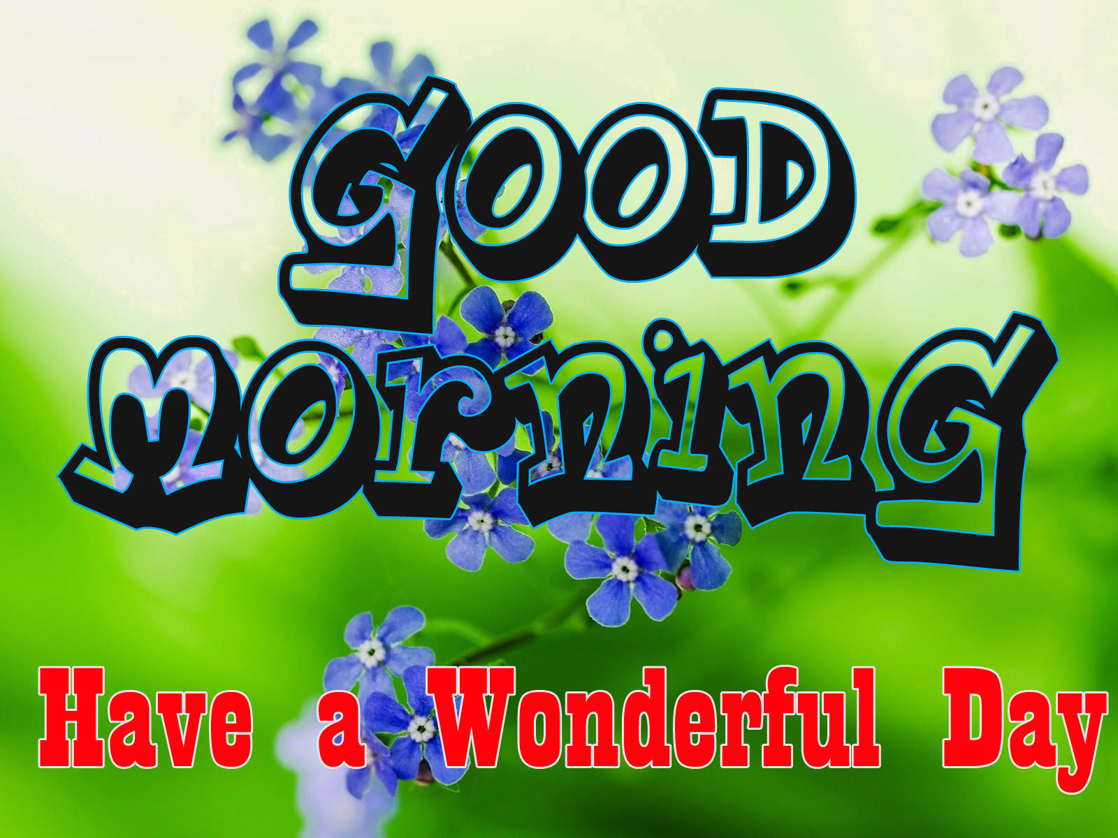 Good Morning 3D Images HD