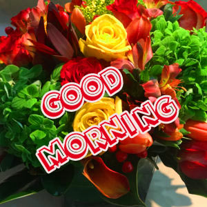 Good Morning 3D Images Pics Free Download
