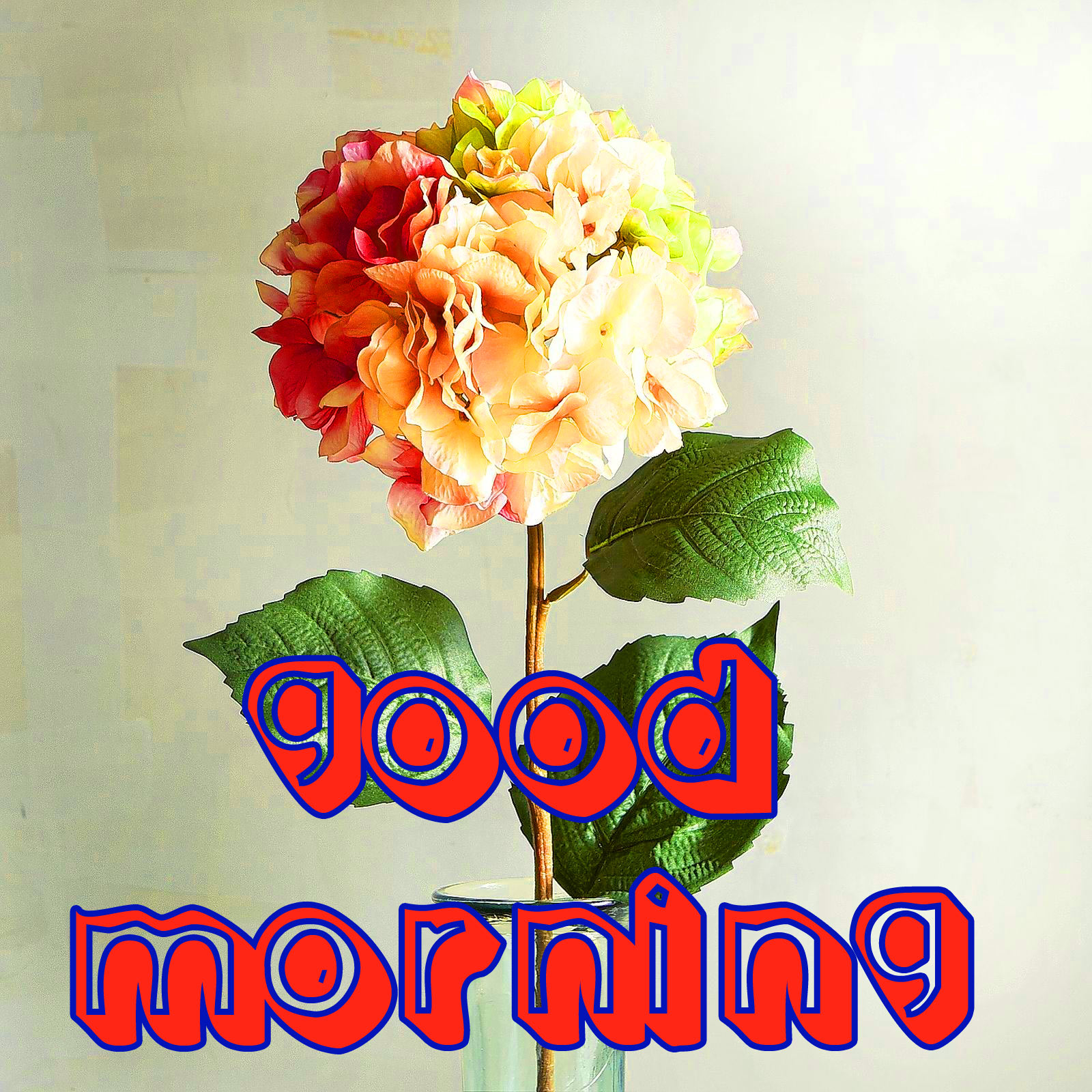 Good Morning 3D Images Photo for Facebook