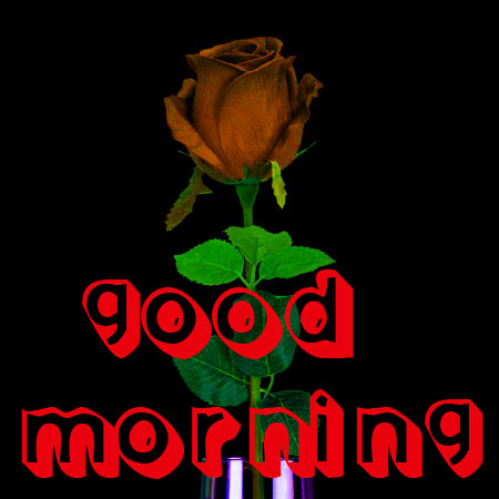 Good Morning 3D Images Pics Download With Red Rose