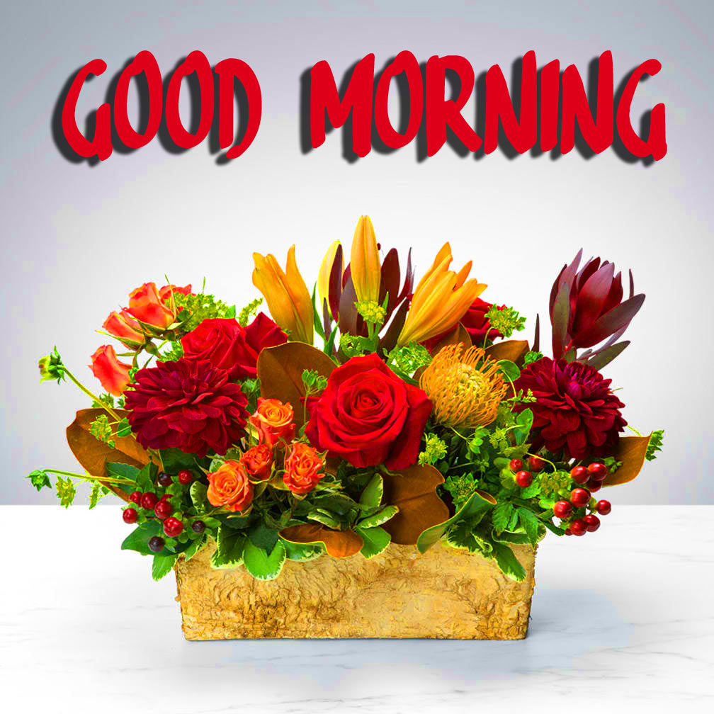 Good Morning 3D Images With Beautiful Flower