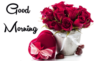 Morning Wishes Images With Red Rose wallpaper photo hd