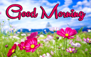 Her Flower good morning images wallpaper photo free download