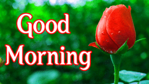 Good Morning Wishes Images photo wallpaper download