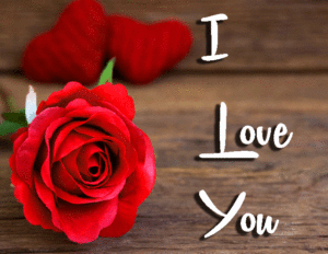 I Love You Images pics wallpaper pictures free hd