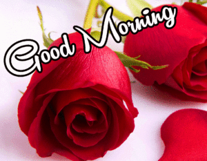 Good Morning Wishes With Images photo pics hd