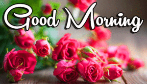 Good Morning Wishes With Images pictures wallpaper download