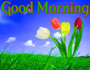 Good Morning Wishes Images pics wallpaper download