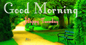 Good Morning Tuesday Images wallpaper photo free download