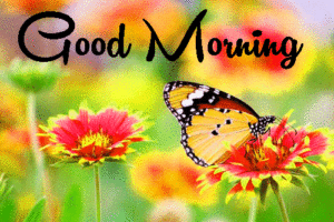 Her Flower good morning images photo download