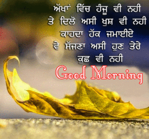 71+ Good Morning Images Photo Pictures In Punjabi Language HD Download