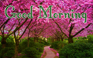 Spring Good Morning Wishes Images photo pics download