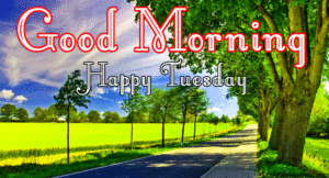 Good Morning Tuesday Images wallpaper photo download