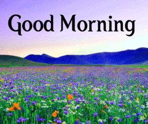 good morning have a nice day images wallpaper pictures photo hd download