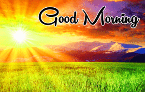Good Morning Images wallpaper pictures photo free hd download