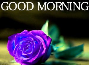 Good Morning Images Wallpaper Pics for Facebook