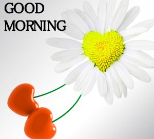 Good Morning Images Wallpaper Pictures HD